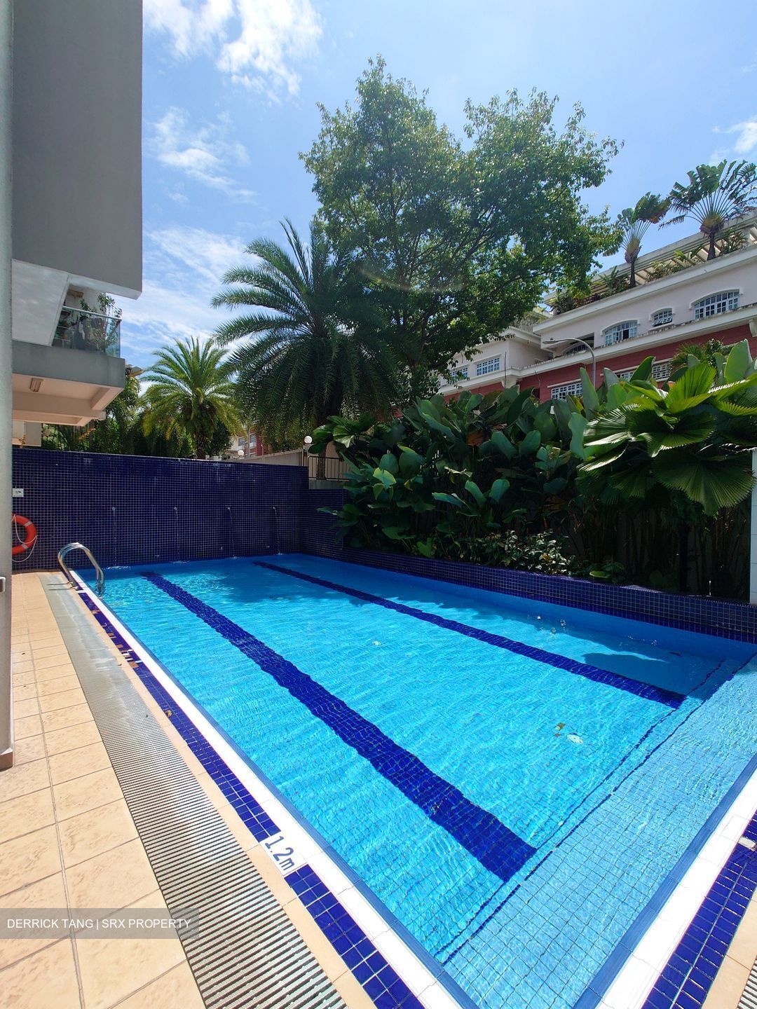 Eden View (D19), Apartment #569122201